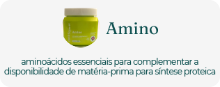 Amino